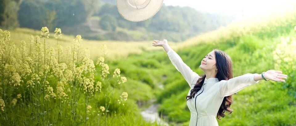 鸢尾花 || 先努力让自己发光，对的人才能迎光而来
