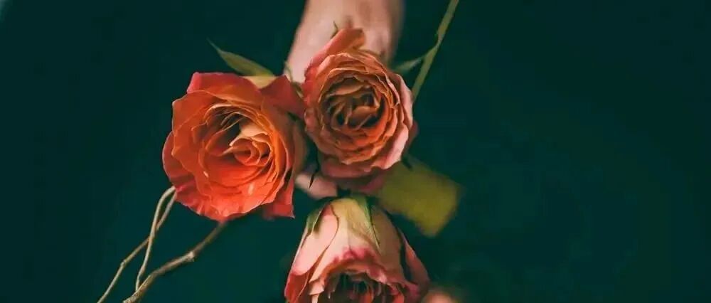 女人，你就该风情万种