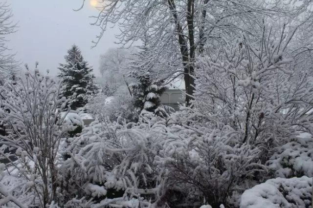 与她行在雪花中 图片