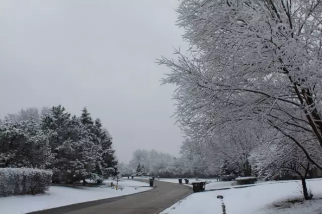 与她行在雪花中 图片