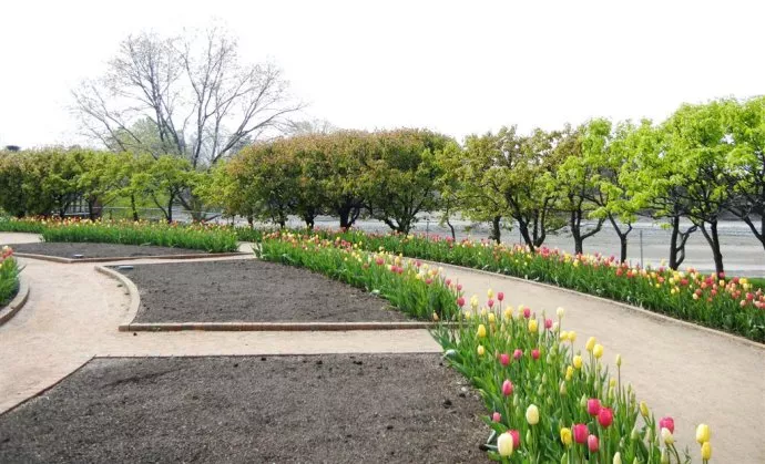 一切都会成为美好——读茱莉安杂记 图片