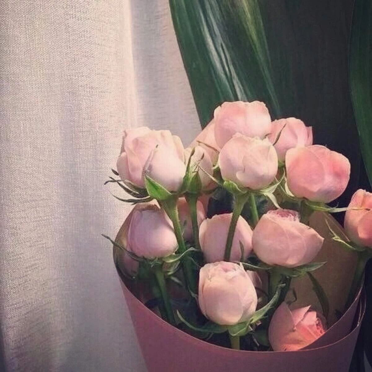 你的脱发属于哪一种？