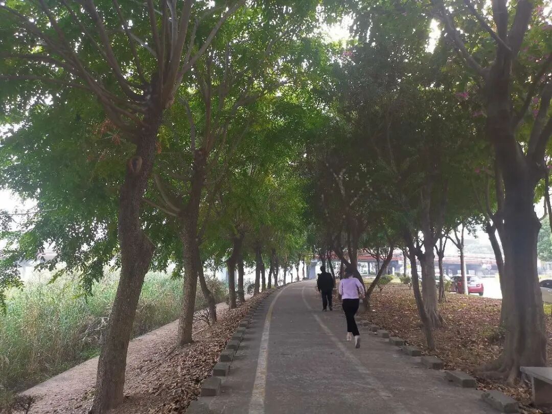 广州番禺区「*铸·铂瑞云湾」28000元/㎡，新盘开盘 一线江景