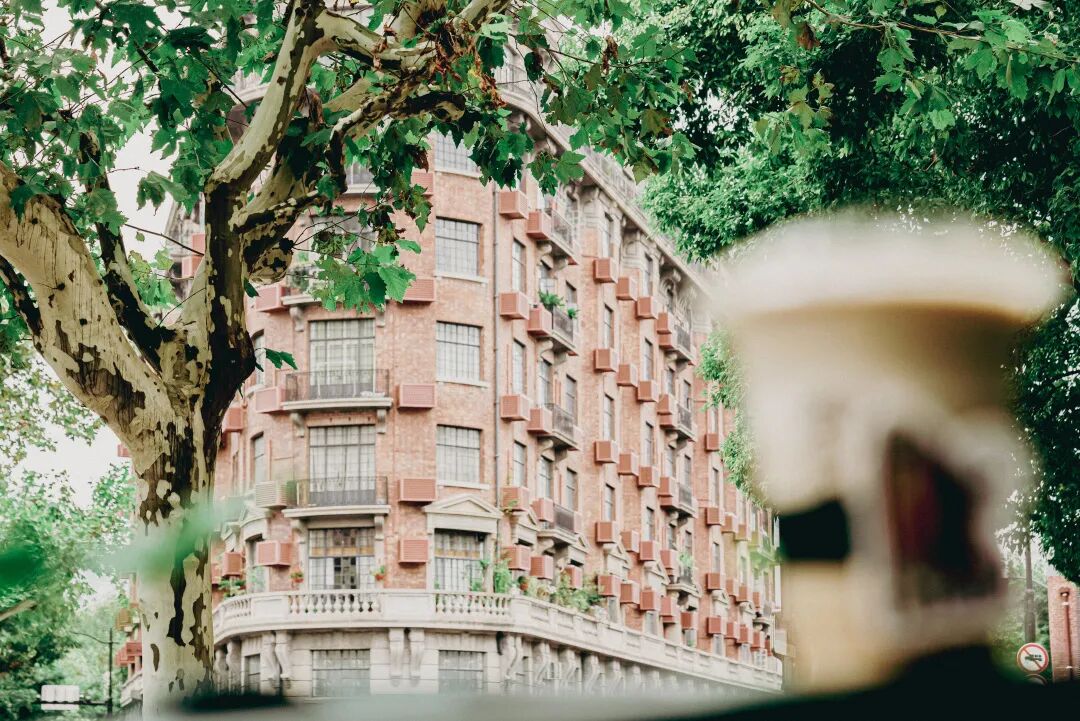 ��ʲô���й������������ȣ���