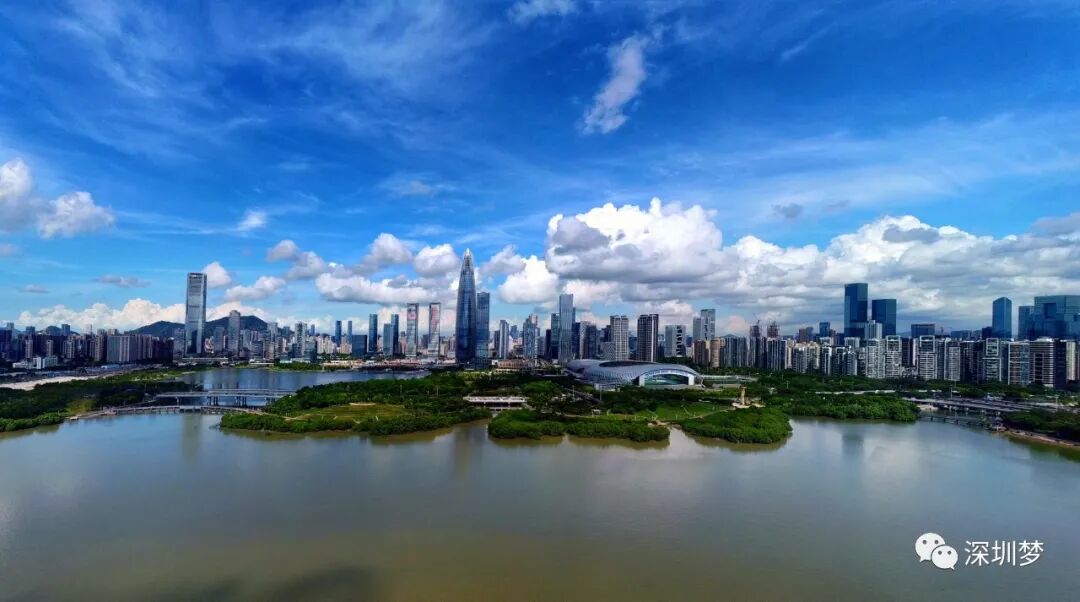 重磅2021年深圳101区gdp排行榜发布