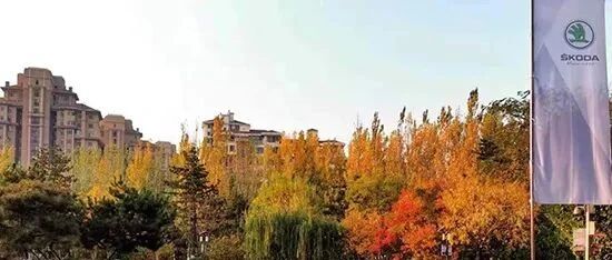 受全球芯片短缺困扰 斯柯达停产两周后正式重启