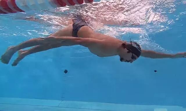 北京游泳教练培训