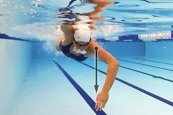 北京游泳教练培训