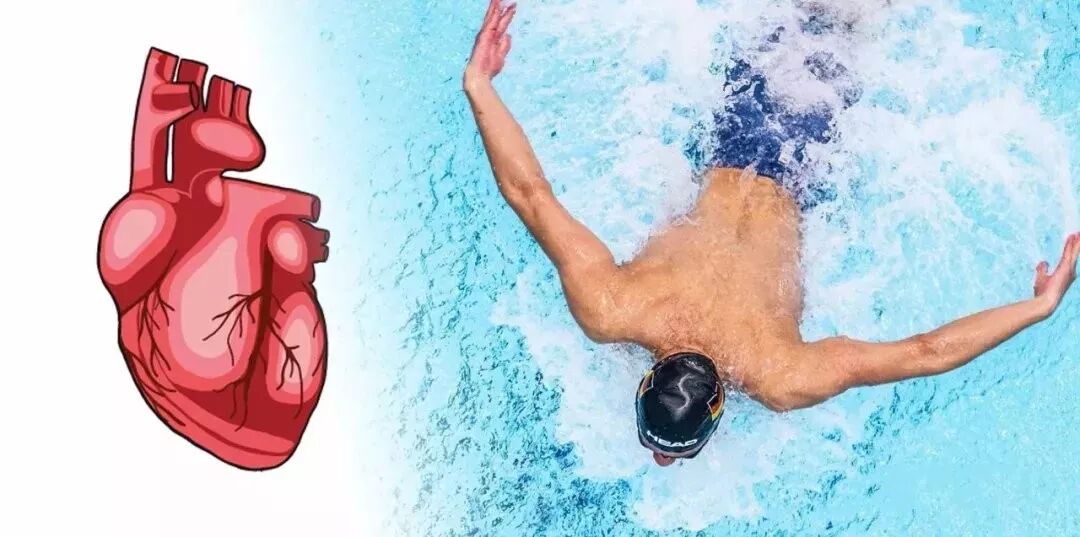 北京游泳教练培训