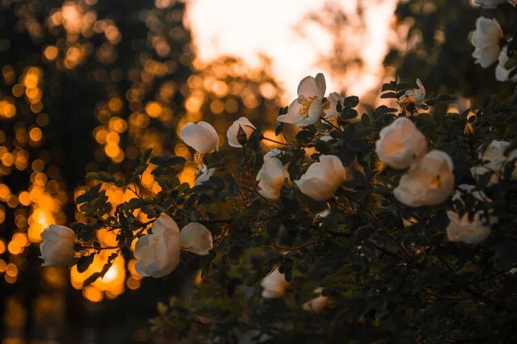 教师节 | 各国教师节都是怎么过的~