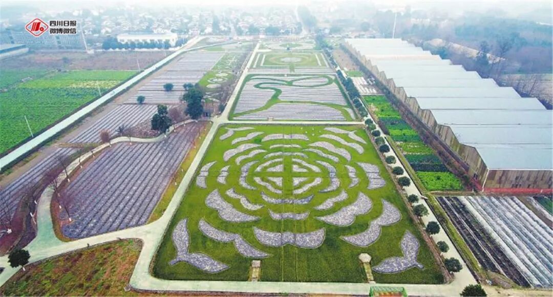 总书记来川视察一周年，他牵挂的那些人那些事怎么样了？