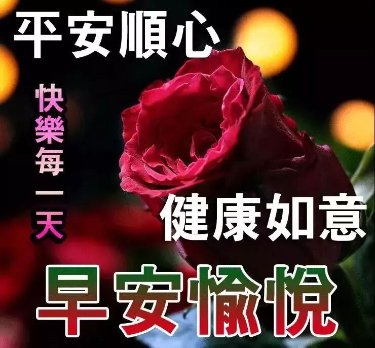 9月日早上好问候语动态表情新的一天早上好的问候语早上好的祝福温馨 微商早安晚安励志正能量语录 微信公众号文章阅读