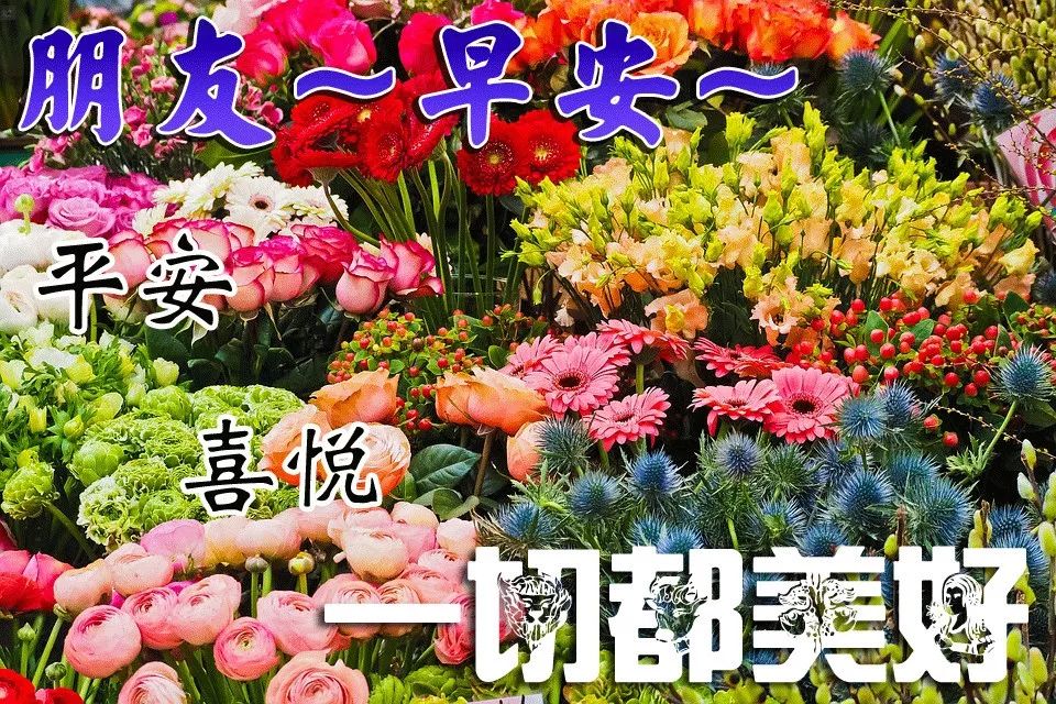 5月8日最新版早上好暖心问候语 特别漂亮早上好表情图片带鲜花 早上好表情图片大全 微信公众号文章阅读 Wemp