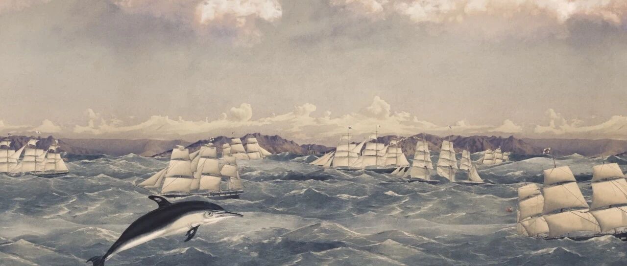 cover_image