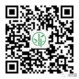 算法设计与分析（第3版）