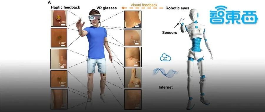 打造线下版元宇宙！机器人VR助力远程做核酸，登上Science子刊