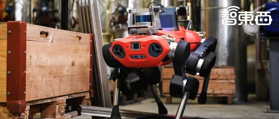 野生机器狗瑞士暴走？能过草地能下水，人追不上！