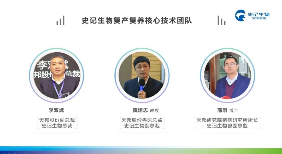 猪价重回17元利润翻倍，非瘟阴魂不散！中小养殖户何去何从