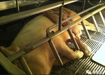 暴雪寒冬，腹泻防控正当时！疾病检测要趁早，抗原、抗体评估不可或缺