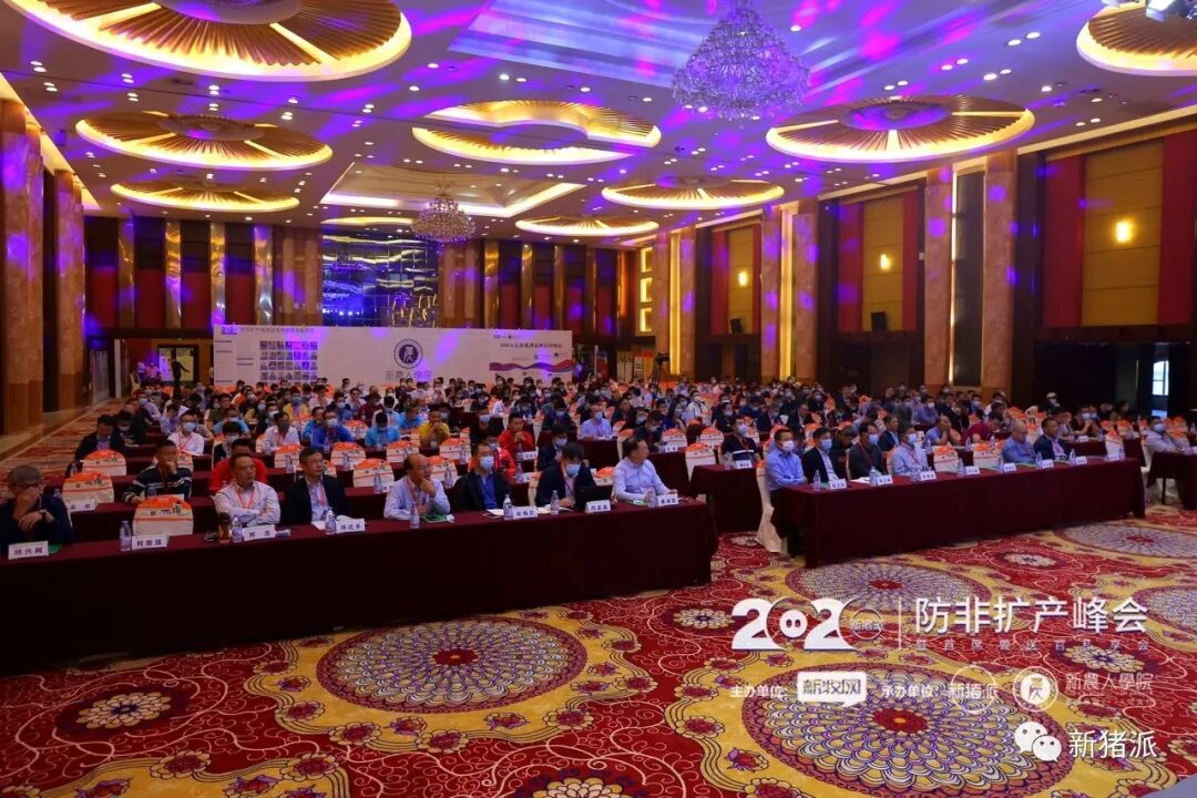 超500猪业精英聚焦防非、扩产！新猪派2020防非扩产峰会盛大开幕