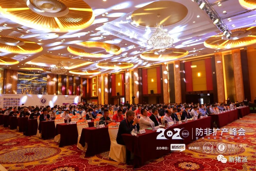 超500猪业精英聚焦防非、扩产！新猪派2020防非扩产峰会盛大开幕