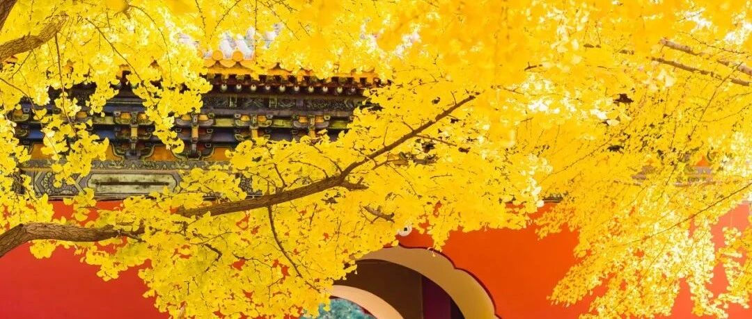 11月，我建议你一定要去一次北京