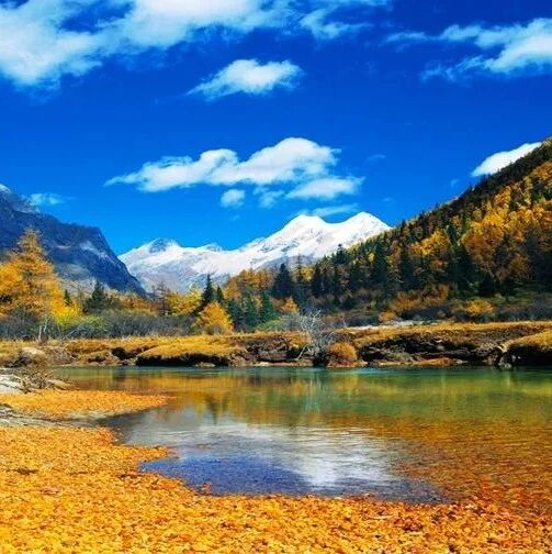 等一个人，陪我去四川