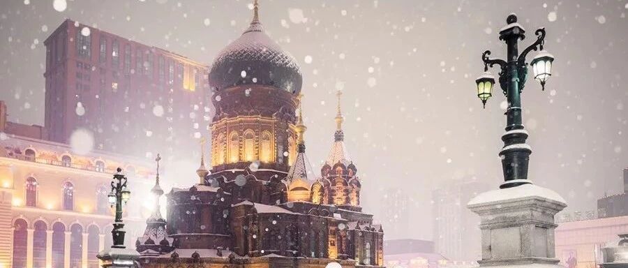 哈尔滨下雪上热搜！全中国没有哪个地方能比东北更懂冬天！