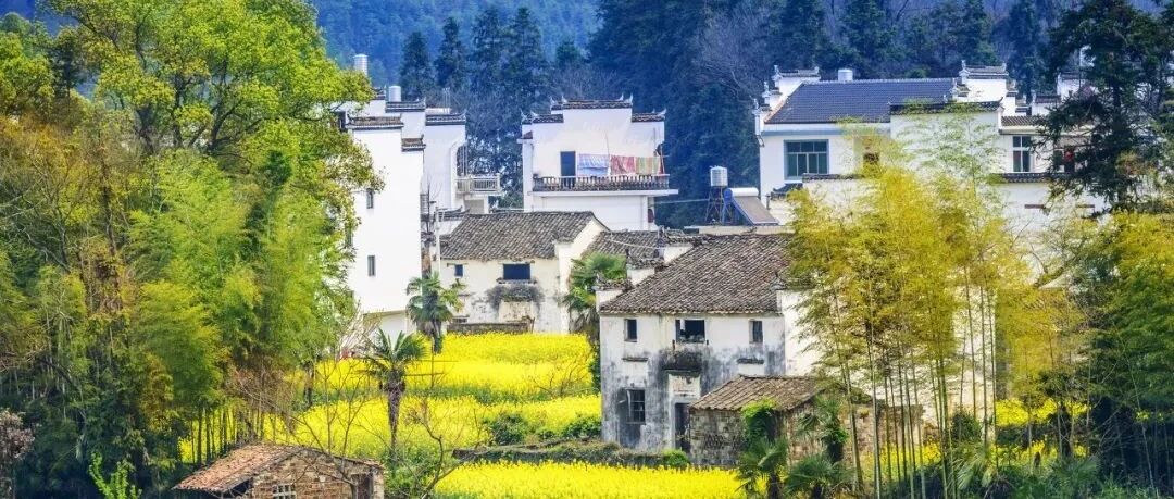 我国必去的这100个AAAAA景区，截止2020年你去了多少个！？