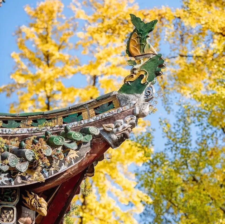 忽然，想去四川了。