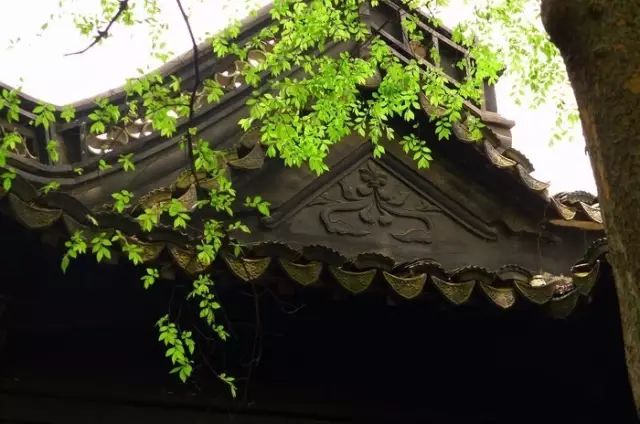 20180117205819_h5y7060gbb.png?v=1762008261159