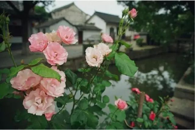 20180122171230_ljuytn81p5.png?v=1762008261159