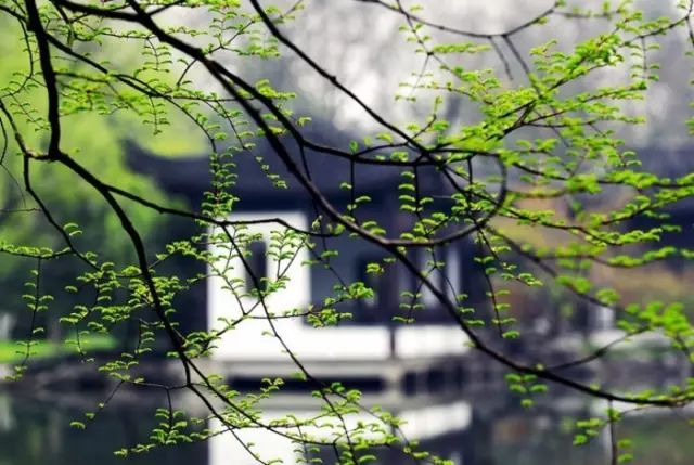 20180117205818_8avxs8f03f.png?v=1762008261159