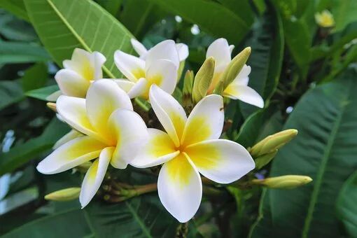 世人最大的悲剧，是让后代“蠢而多财”！