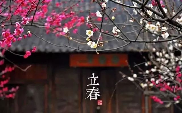 24节气茶单，够用一整年