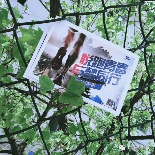 QQ图片20180506231408.jpg