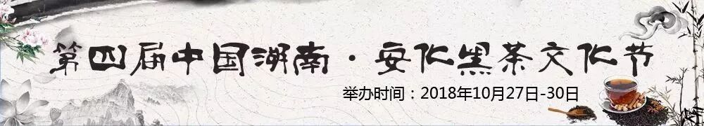 黑茶文化节倒计时：解读贵比黄金的“神秘物质”——金花