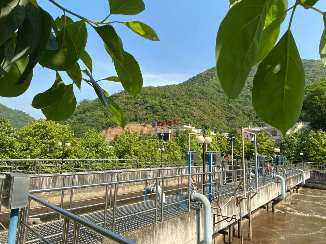 “绿满厂区春意浓”摄影作品征集活动部分作品展示（三）