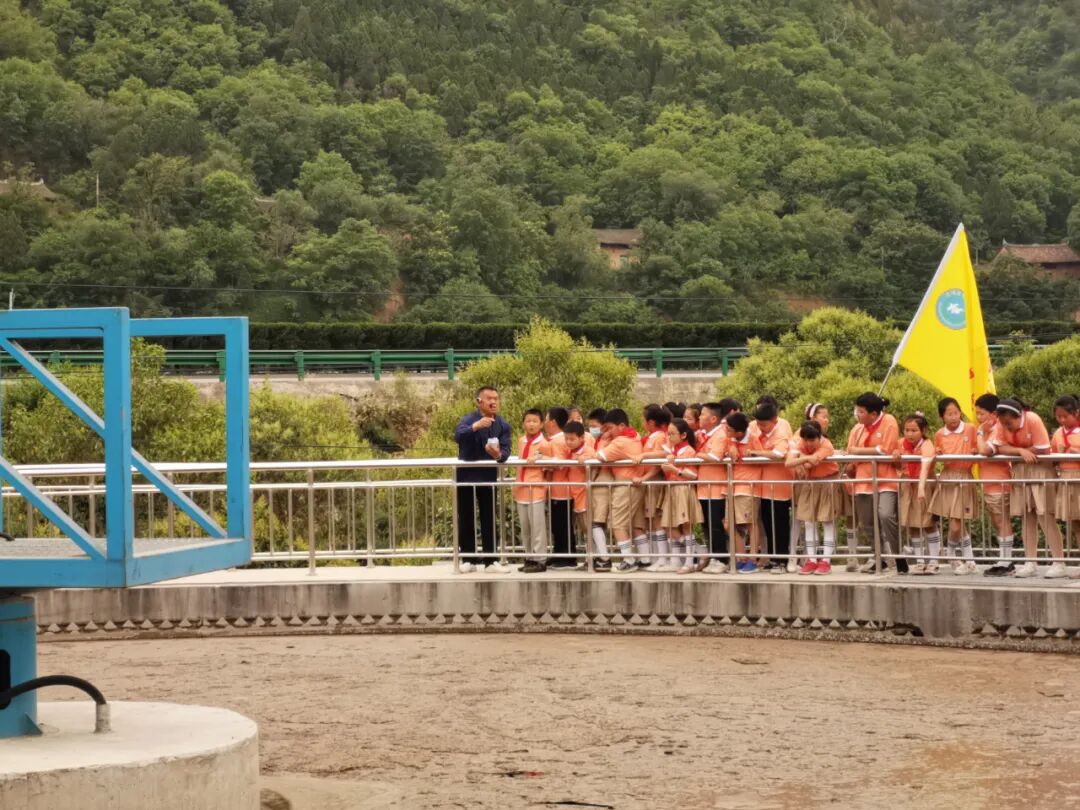 水情形公司开展天下情形日系列活动