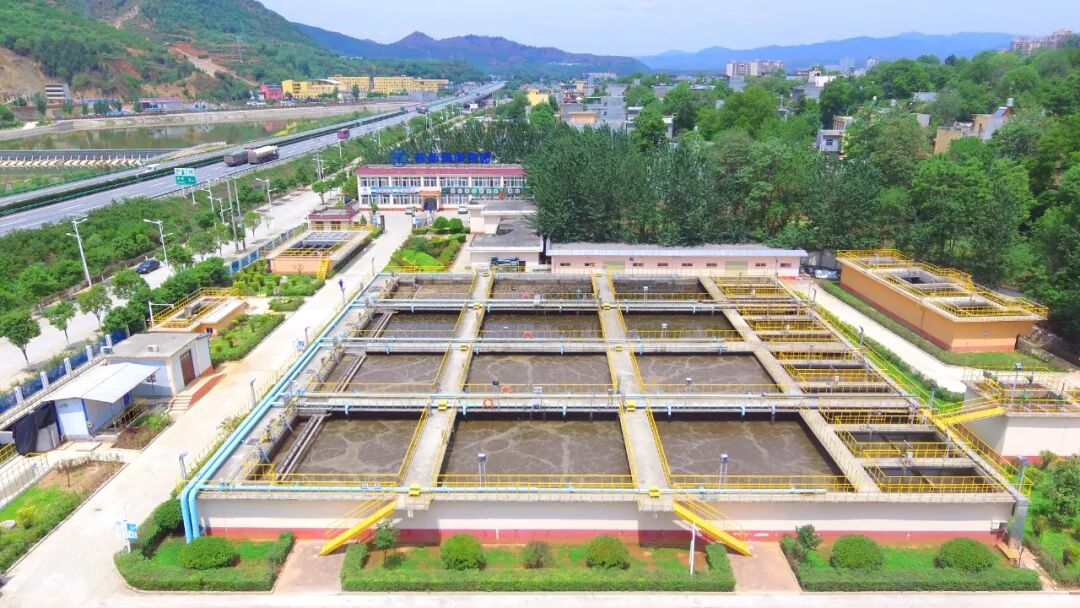 “绿满厂区春意浓”摄影作品征集活动部分作品展示（三）