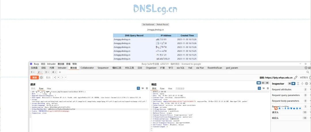 Example Image
