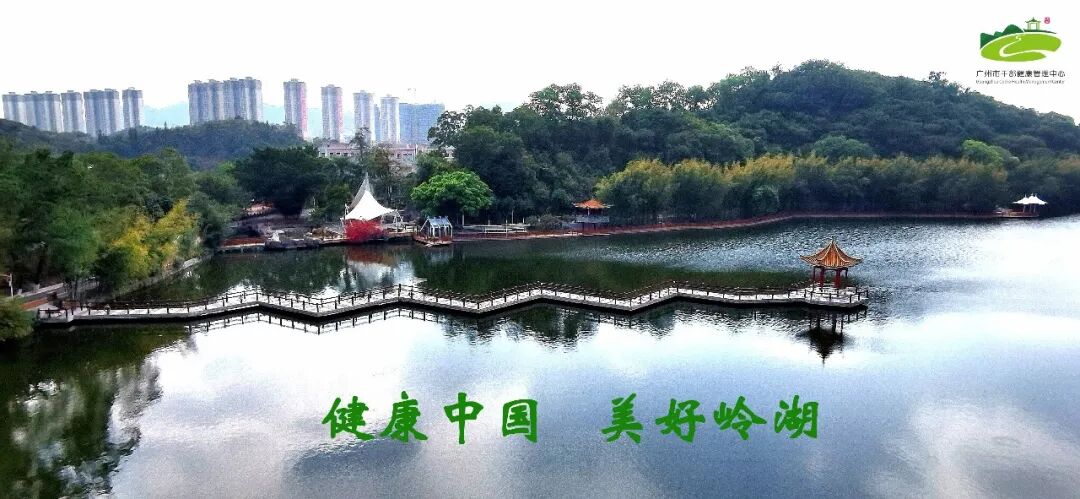 ge ct有哪些型号更快！更精准！我中心最新引进CT界的航母—Revolution 256排CT_https://www.jmylbn.com_新闻资讯_第6张