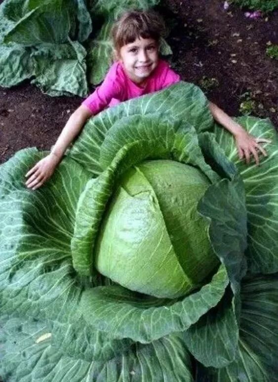 要懂得一点人情世故 二懂;要懂得一点看家本领 罕见的稀世雕刻送给你