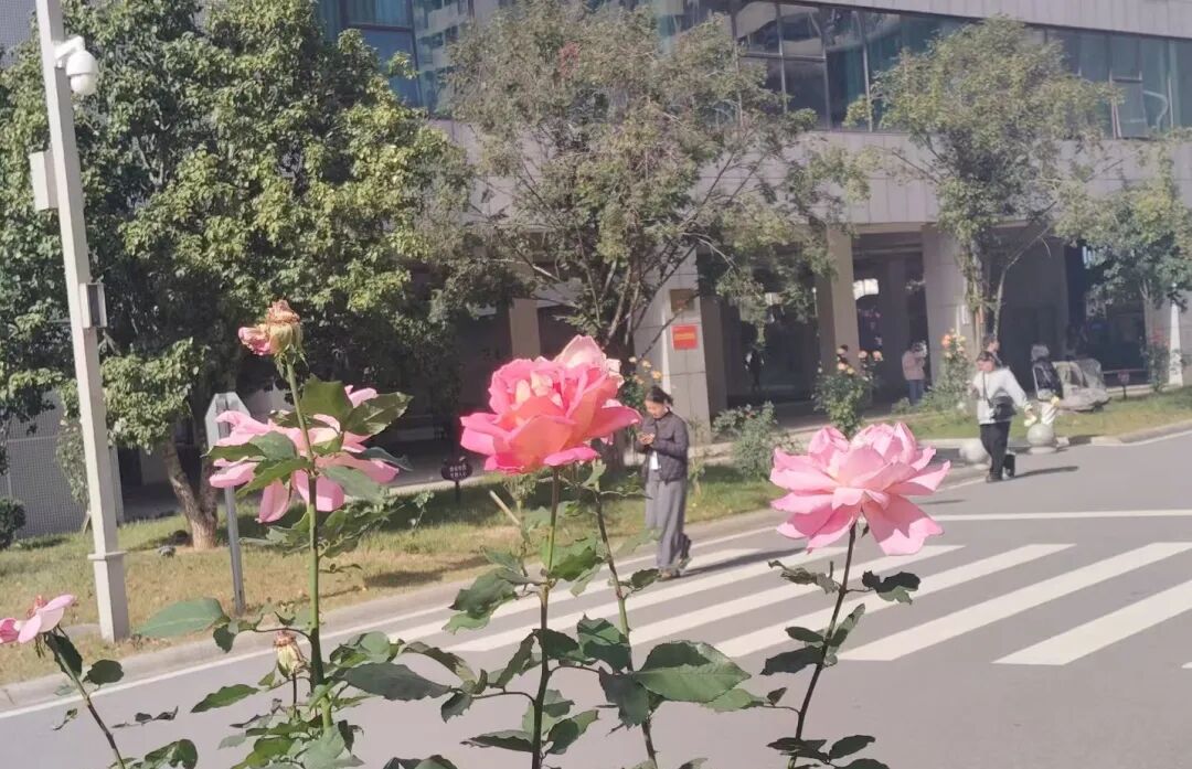 微信图片_20260508160418_8_3077.jpg