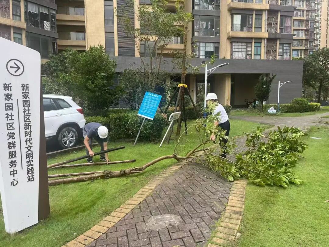 3.新家园社区党员干部将散落的树枝和落叶清理干净。.jpg