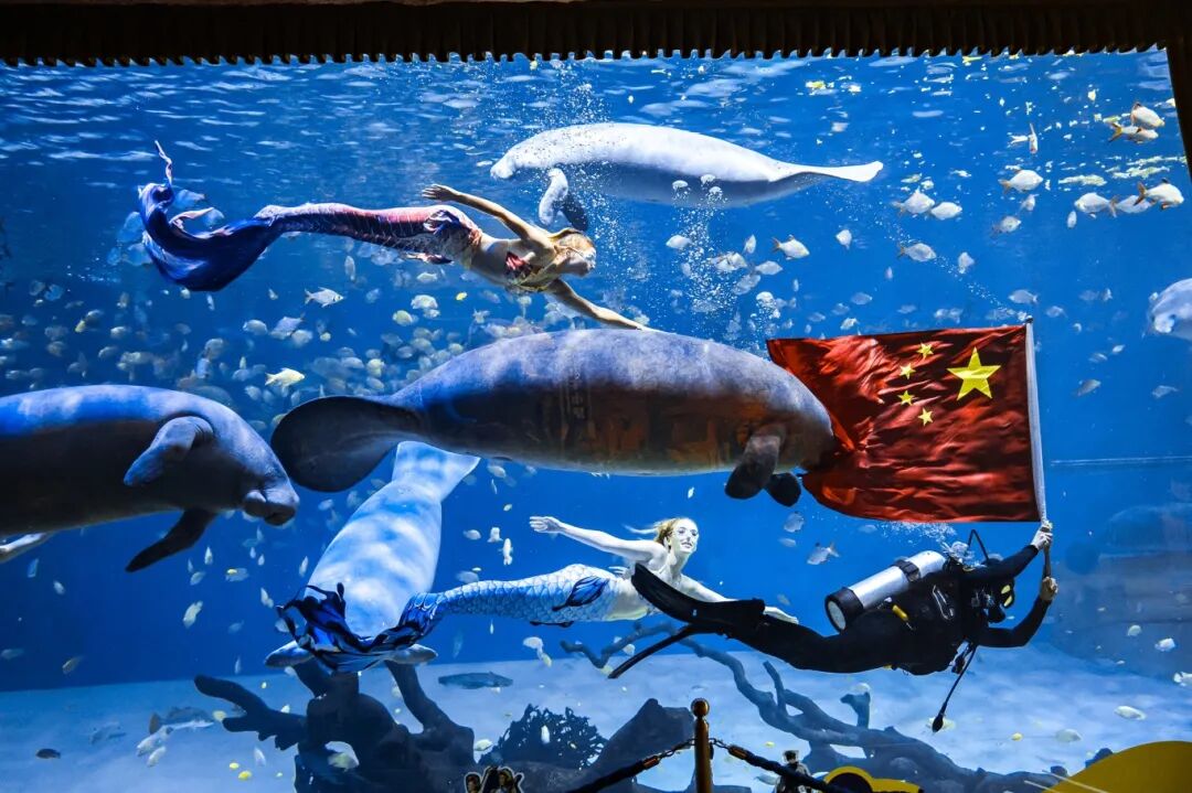鲸鲨馆内布置水下国旗，营造独特深海献礼场景2.jpg