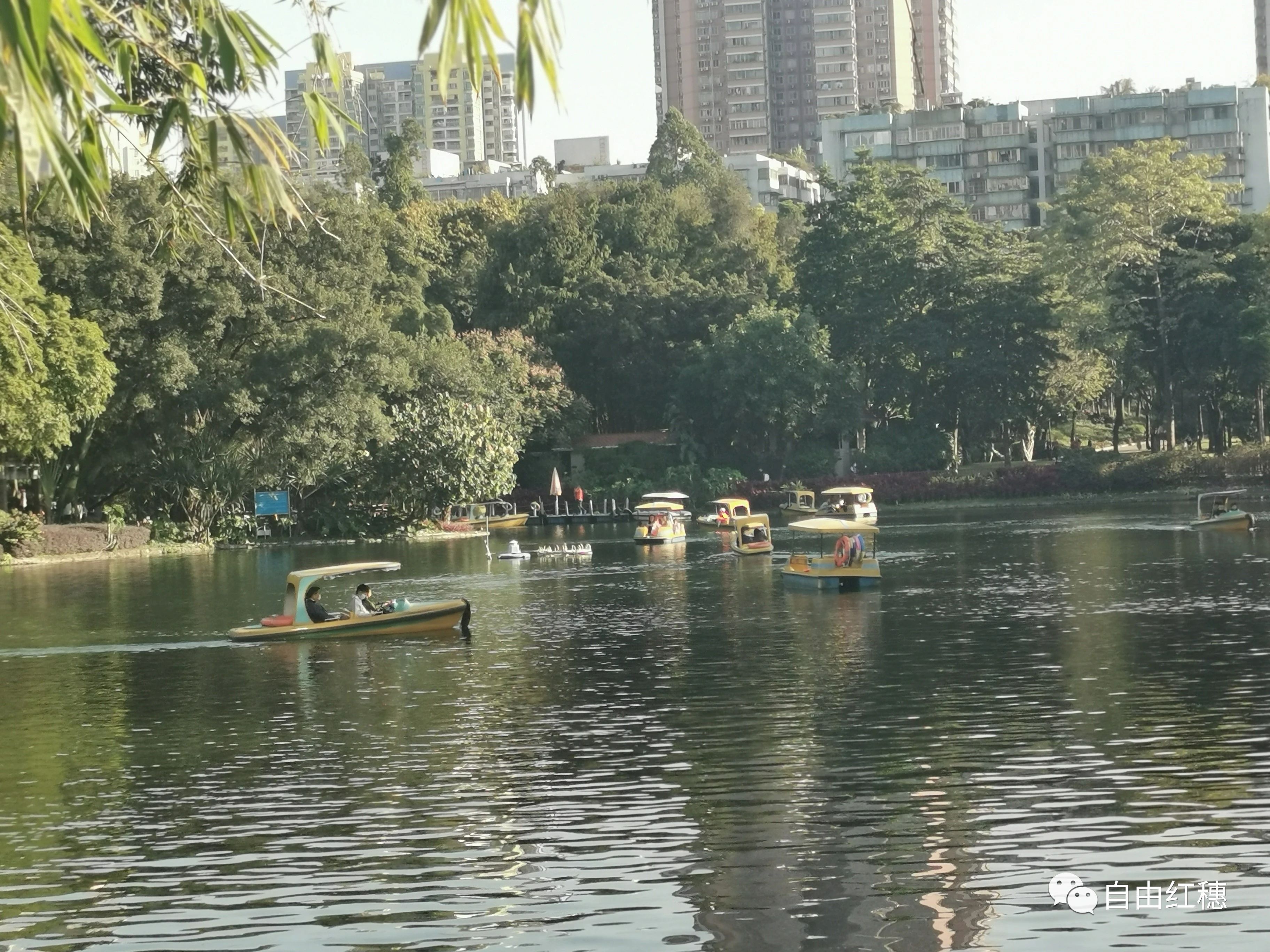 听着经典传唱人唱响《春江花月夜》，引发我说说在全民K歌的收获