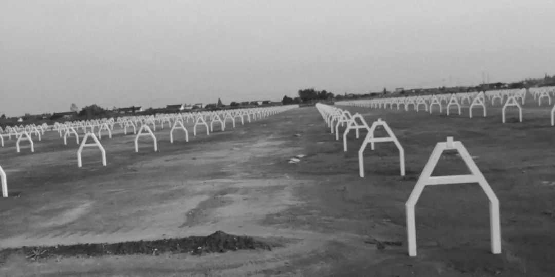 美国科学院公布:未来农业发展的五大方向 美国科学院公布:未来农业发展的五大方向