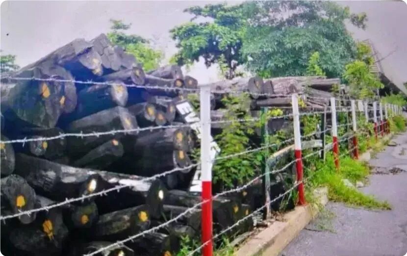 红木市场10年间。涨价最快的木头，竟然是这种