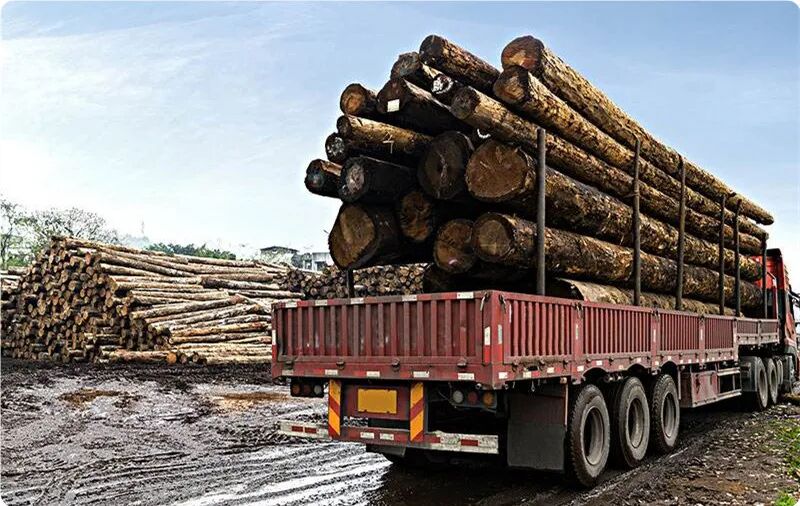 中国进口木材供应现在现在是什么状况！